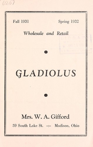 Gladiolus