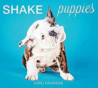 Shake puppies