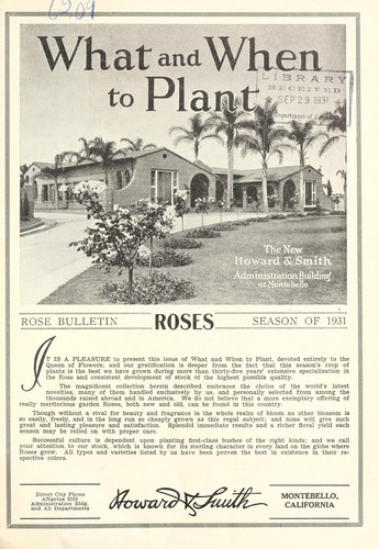 What and when to plant