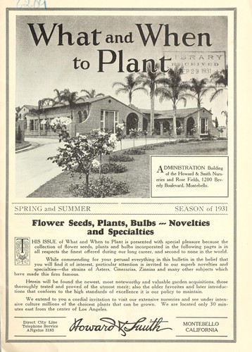 What and when to plant
