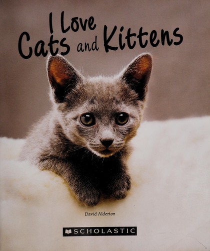 I love cats and kittens