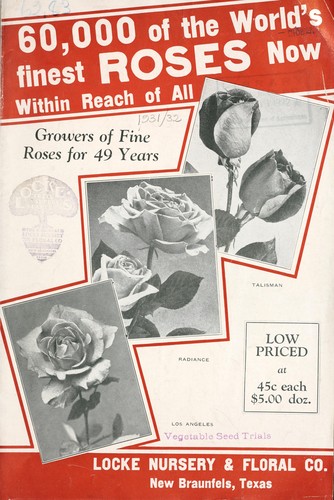 60,000 of the world's finest roses, now within reach of all