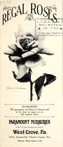 Regal roses
