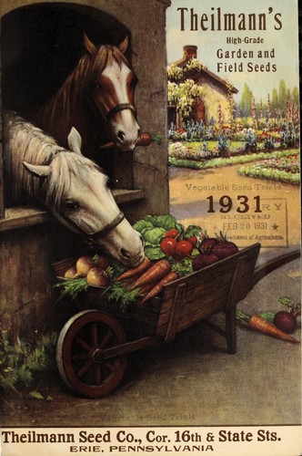 Theilmann's high-grade garden and field seeds, 1931
