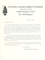 Small evergreen trees for all purposes