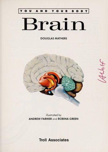 Brain