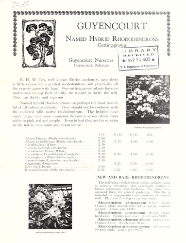 Guyencourt named hybrid rhododendrons