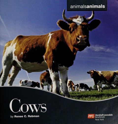 Cows