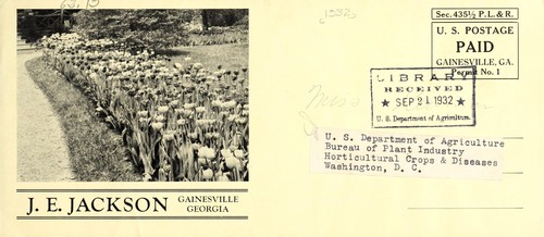 J. E. Jackson, Gainesville, Georgia