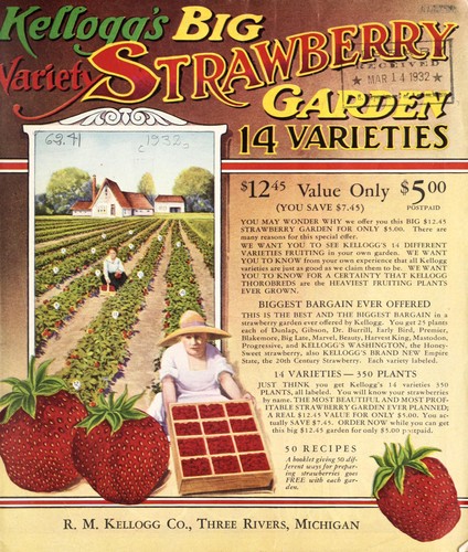 Kellogg's big variety strawberry garden, 14 varieties