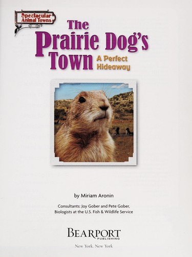 The prairie dog's town