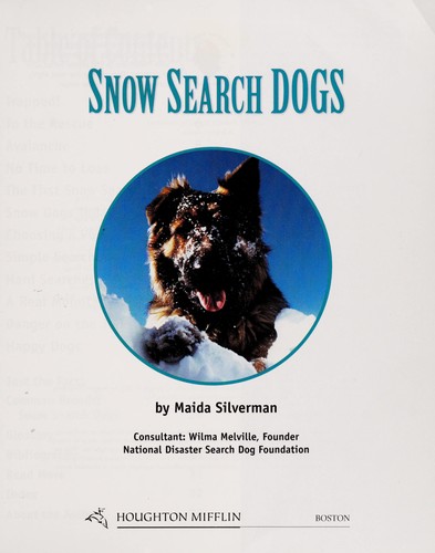 Snow search dogs