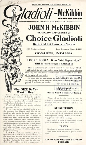 Gladioli--McKibbin