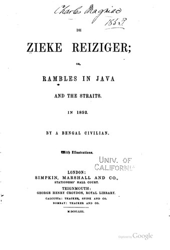 De Zieke Reiziger