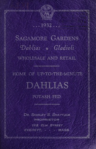 Dahlias, gladioli