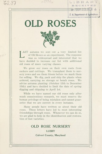 Old roses