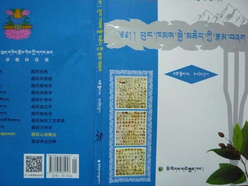 phung khams skye mched kyi rnam bzhag