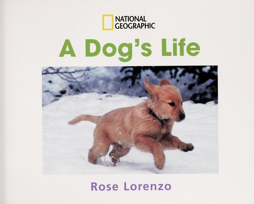A dog's life