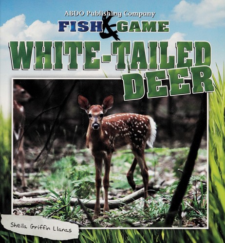 White-tailed deer