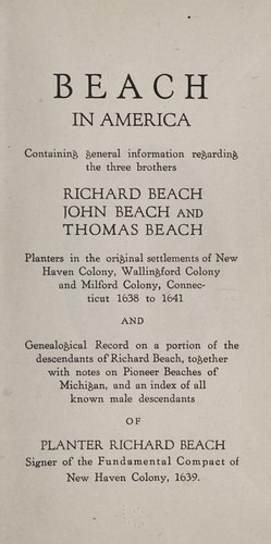 Beach in America