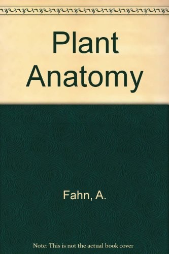 Plant anatomy