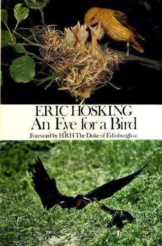 An eye for a bird