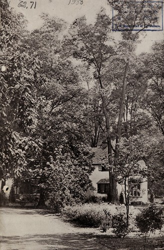 Along the garden path