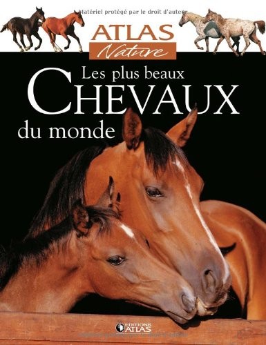 les plus beaux chevaux du monde