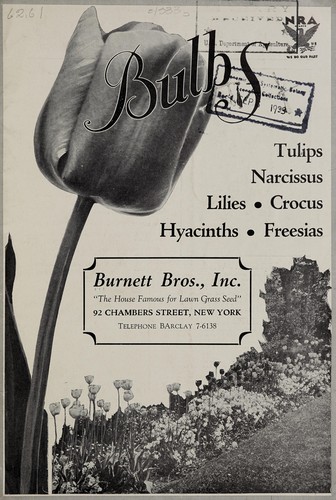 Bulbs