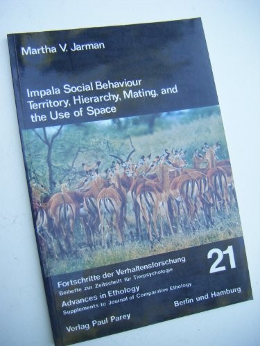 Impala social behaviour