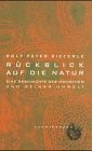 Rückblick auf die Natur
