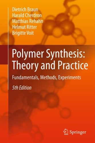Polymer Synthesis: Theory and Practice: Fundamentals, Methods, Experiments