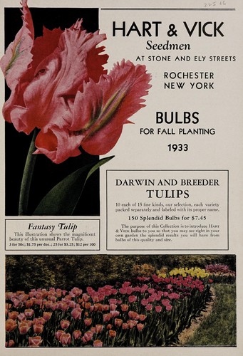 Bulbs for fall planting, 1933