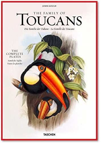 John Gould: The Family of Toucans