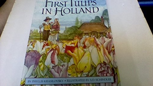 The first tulips in Holland