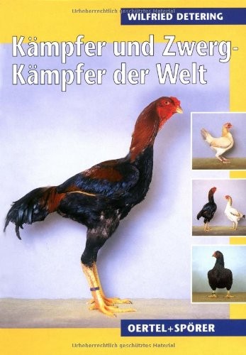 Kämpfer und Zwerg-Kämpfer der Welt