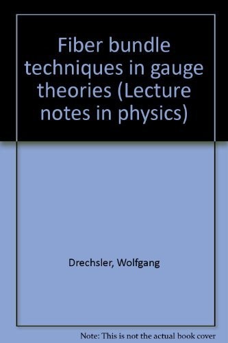 Fibre bundle techniques in gauge theories