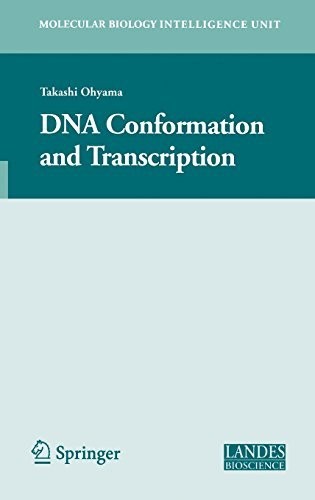 DNA Conformation and Transcription (Molecular Biology Intelligence Unit)