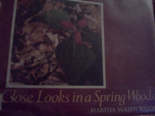 Close looks in a spring woods