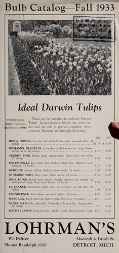 Bulb catalog, fall 1933