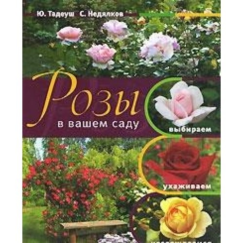 Rozy v vashem sadu. Vybiraem, uhazhivaem, naslazhdaemsya