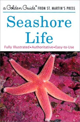Seashores