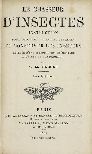 Le chasseur d'insectes