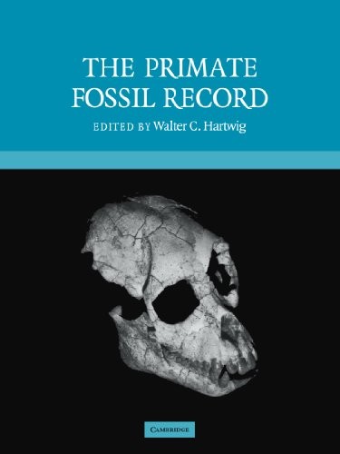 The Primate Fossil Record (Cambridge Studies in Biological and Evolutionary Anthropology)