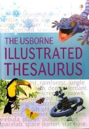 Illustrated Thesaurus (Usborne Illustrated Dictionaries) (Usborne Illustrated Dictionaries)