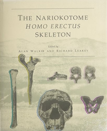 The Nariokotome Homo erectus skeleton