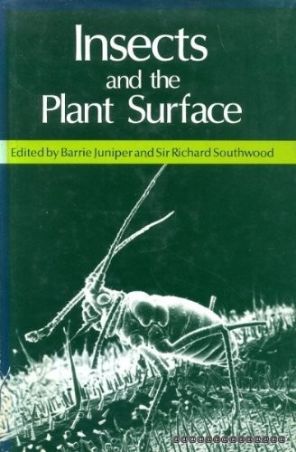 Insects and the plant surface
