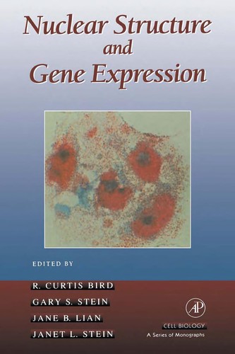 Nuclear structure and gene expression