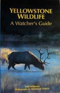 Yellowstone wildlife