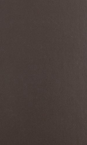 Promised Lands (Brandeis Series in American Jewish History, Culture, and Life & HBI Series on Jewish Women)